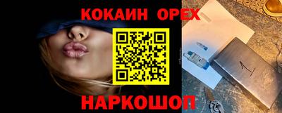 крисы Камышлов