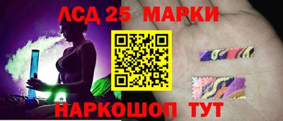 крисы Камышлов
