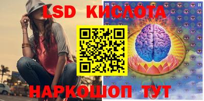 крисы Камышлов