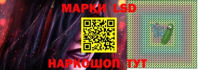 крисы Камышлов