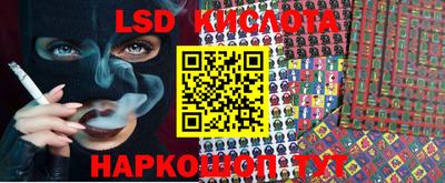 крисы Камышлов