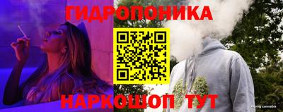 дурь Сланцы