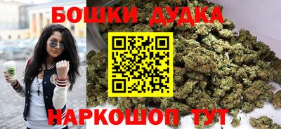 крисы Камышлов