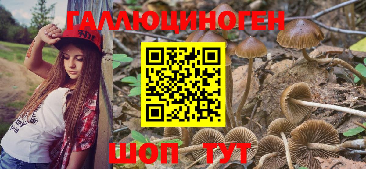 Псилоцибиновые грибы Cubensis  Галлюциногенные грибы прущие грибы  Кумертау  Вход с VPN 