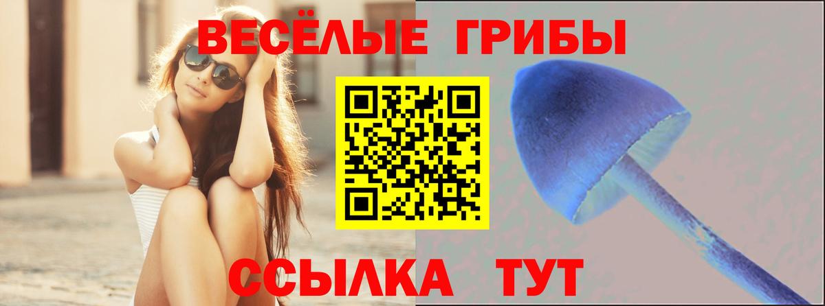 Галлюциногенные грибы мицелий Кумертау